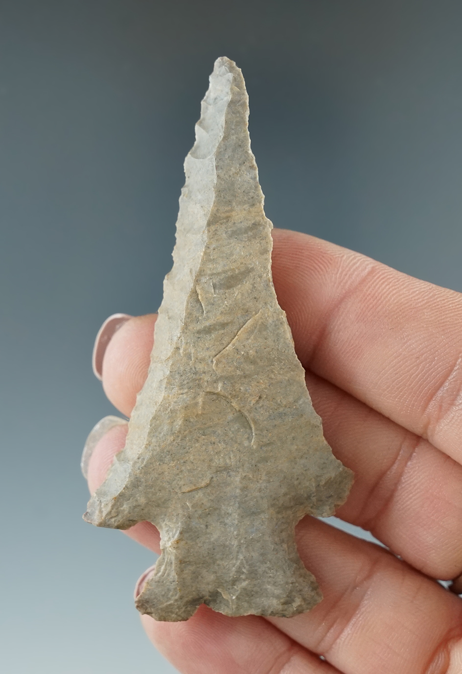 Steeply beveled 2 7/8" Lost Lake found in Clay Co., Arkansas.