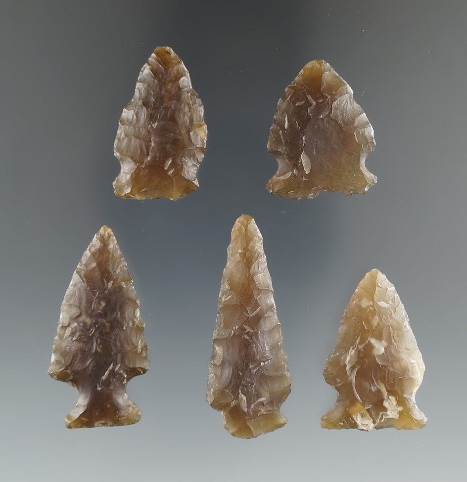 Five nice Knife River Flint arrowheads found in Eastern South Dakota, largest is 1 9/16".