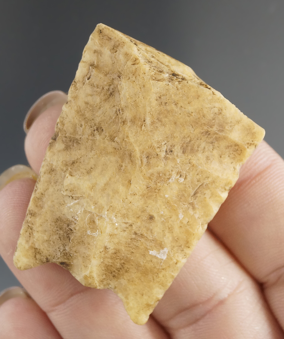 1 3/4" large Folsom base found in Colorado. Ex. Byron Anderson. Comes with a Jackson COA.