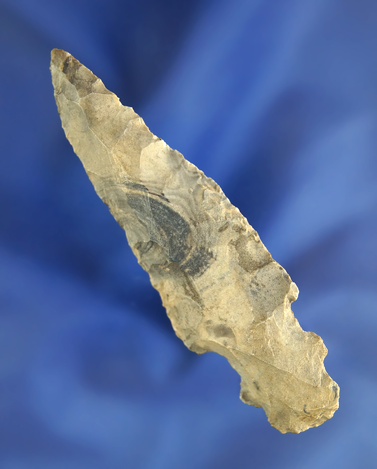 Rare style! 3 3/16" Double Notched Turkeytail found in Indiana.