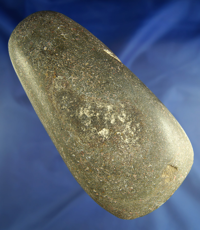 Large, heavily polished 7 1/2" Celt found near Paris Kentucky.