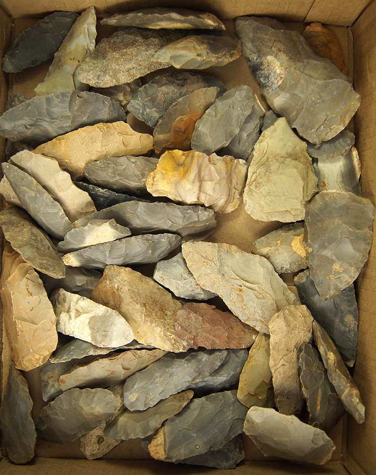 Large group of flint Knives and Blanks, many are Hornstone.