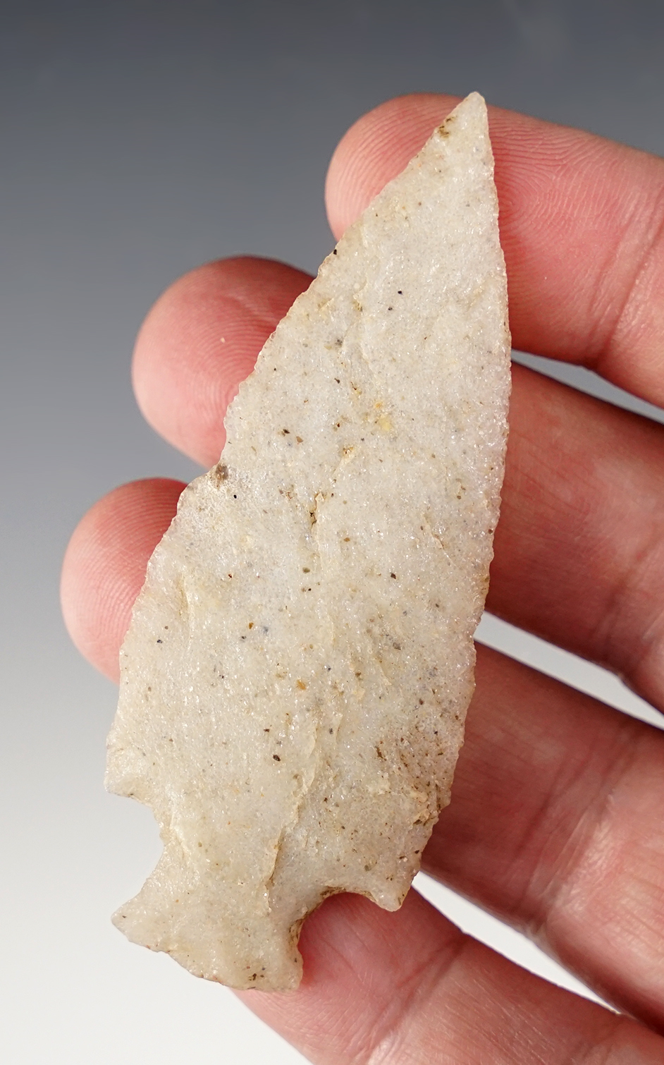 3" Stemmed Knife with unique beveled notches made from quartzite found in Colorado.