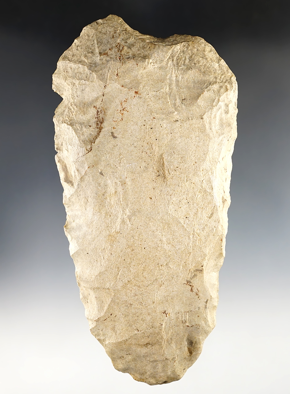 Large 8 5/8" Hoe - Massac Co., Illinois. Mill Creek Chert. Comes with a Bennett "Micro" COA.