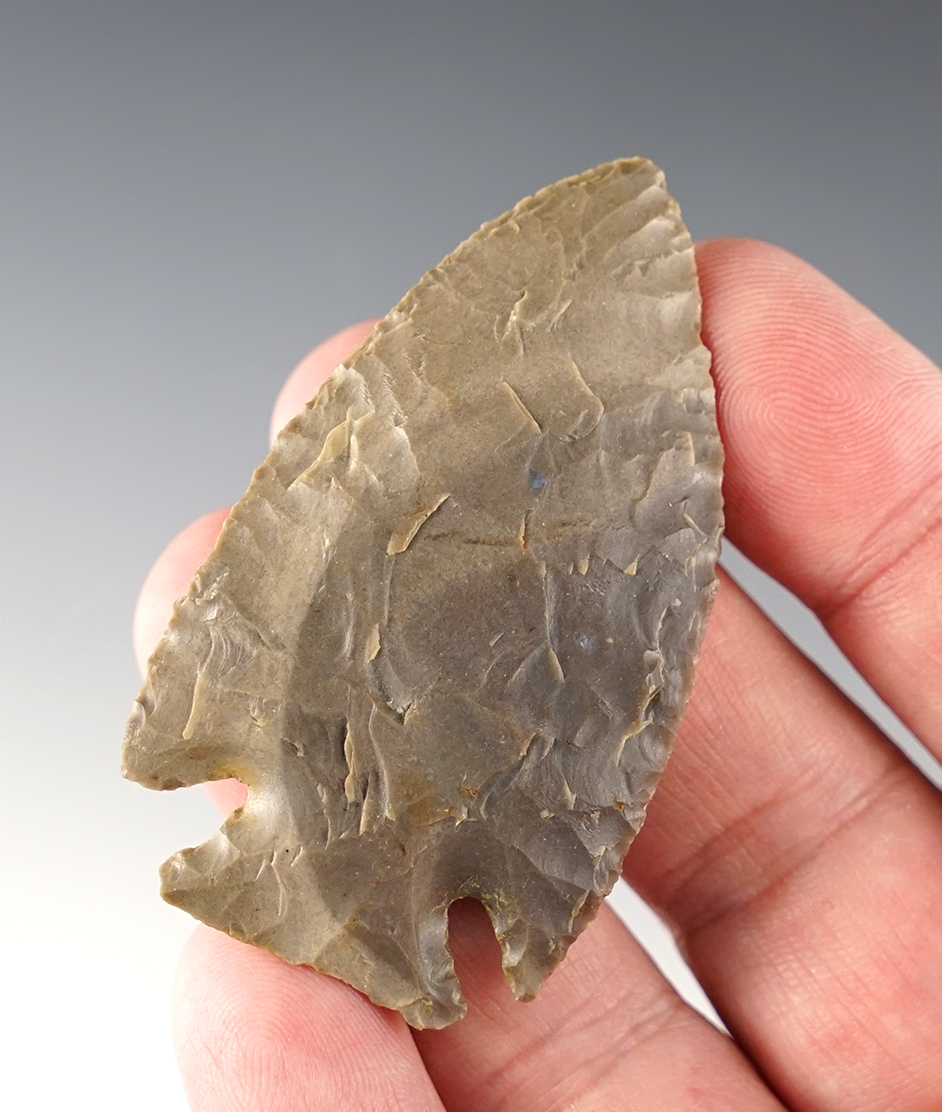 Exceptional flaking on this 2 7/16" Archaic Cornernotch made from Hornstone. Kentucky.