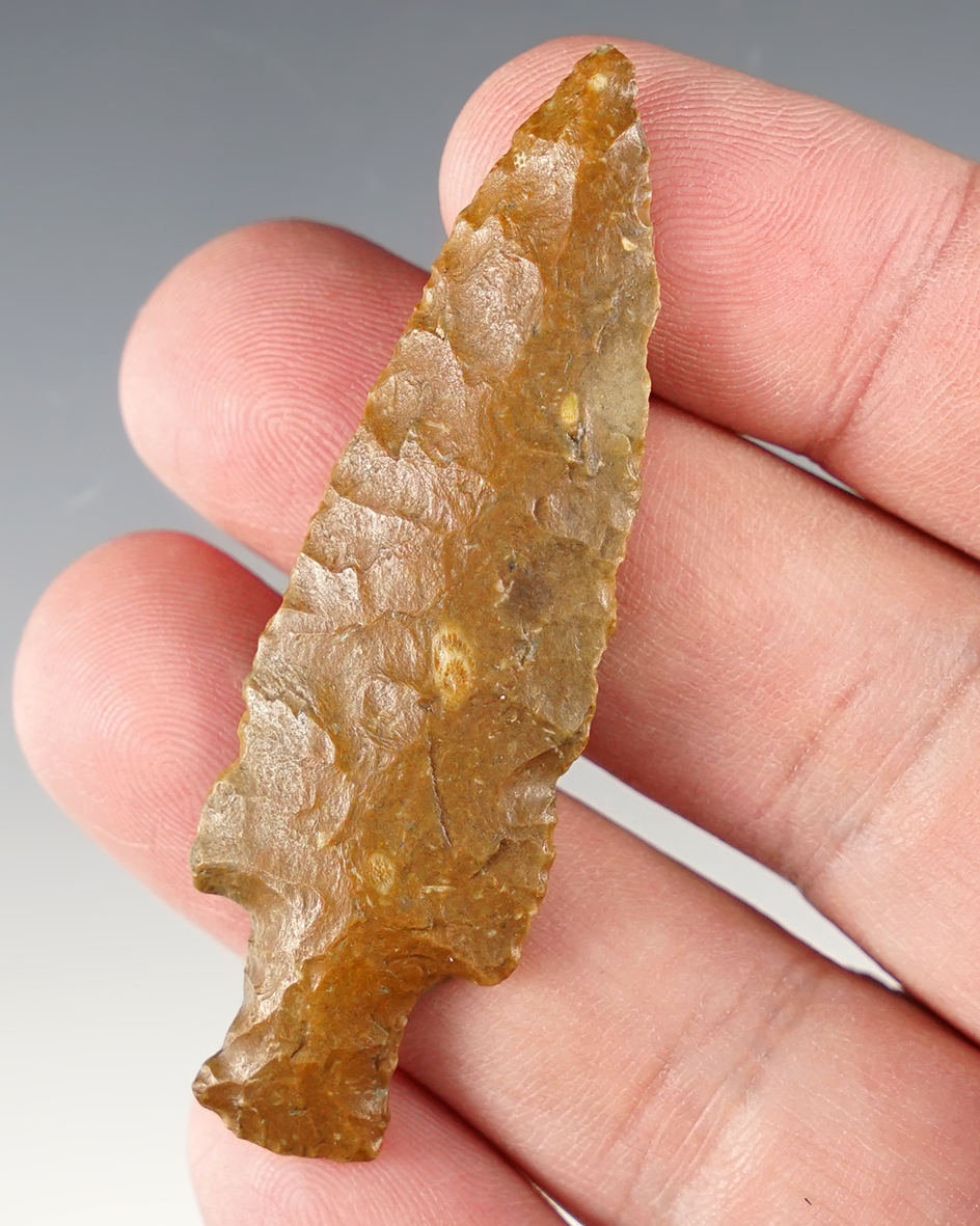 2 1/2" well styled Stemmed Point that is nicely patinated, found in Colorado.