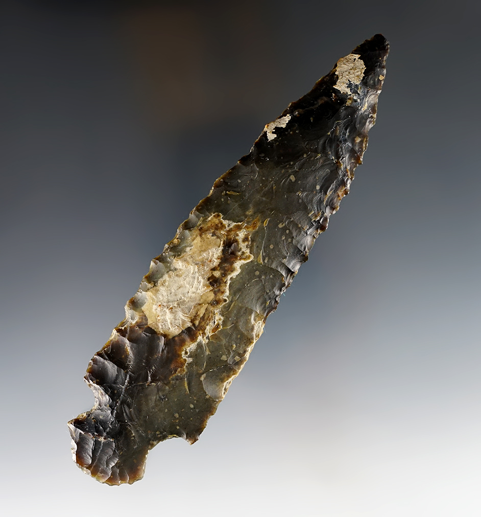 Large 6" McGillivray - 1940's on the Bosswell Farm, Kern Co., California by Joe Burdell. COA.