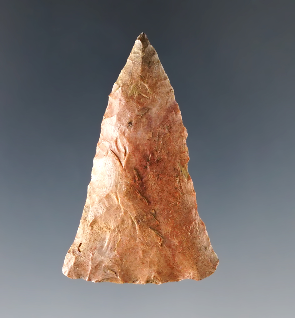 1 15/16" Copena - colorful Buffalo River Chert. Calloway Co., Kentucky. Bennett "Micro" COA.