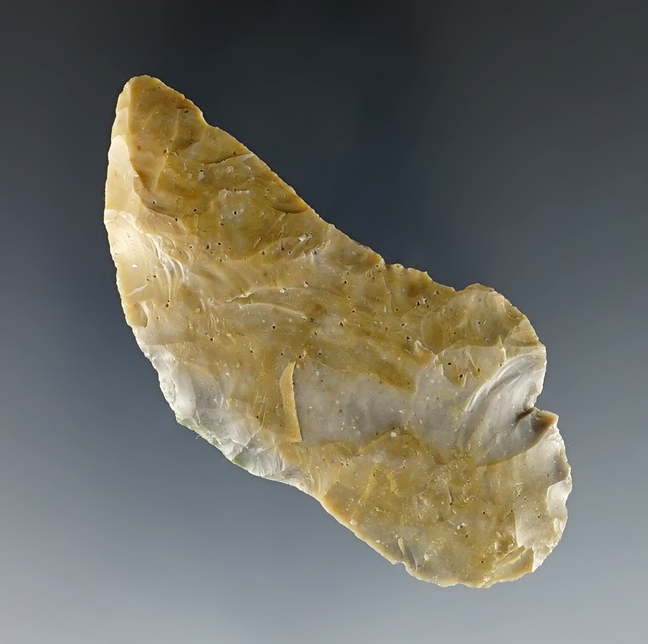 2 5/8" Houx Contracting Stem - Bosswell Farm, Kern County by Joe Burdell. Ex. Erspamer. COA. 