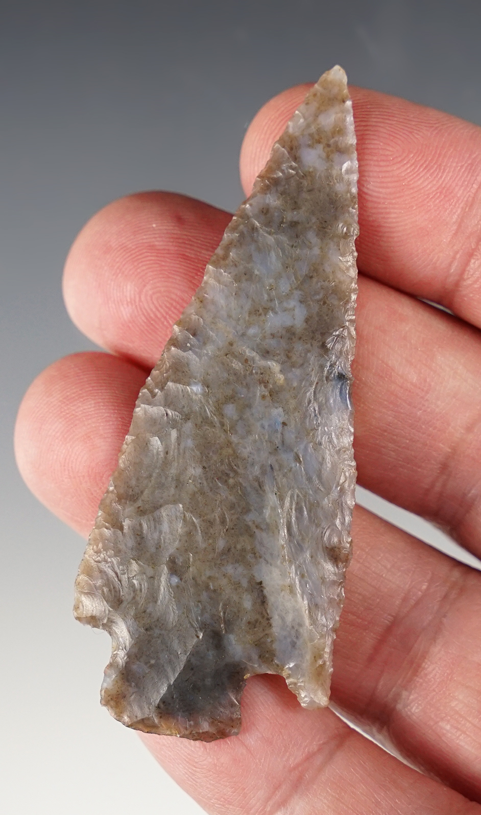 2 3/4" Basket Maker Point made from beautiful mottled blue and grey material found in Colorado.
