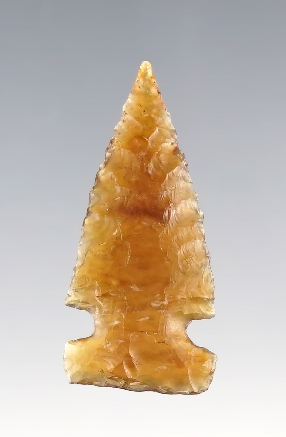1 5/16" Cut Bank Jaw-notched made from highly translucent caramel colored Agate - Colorado.