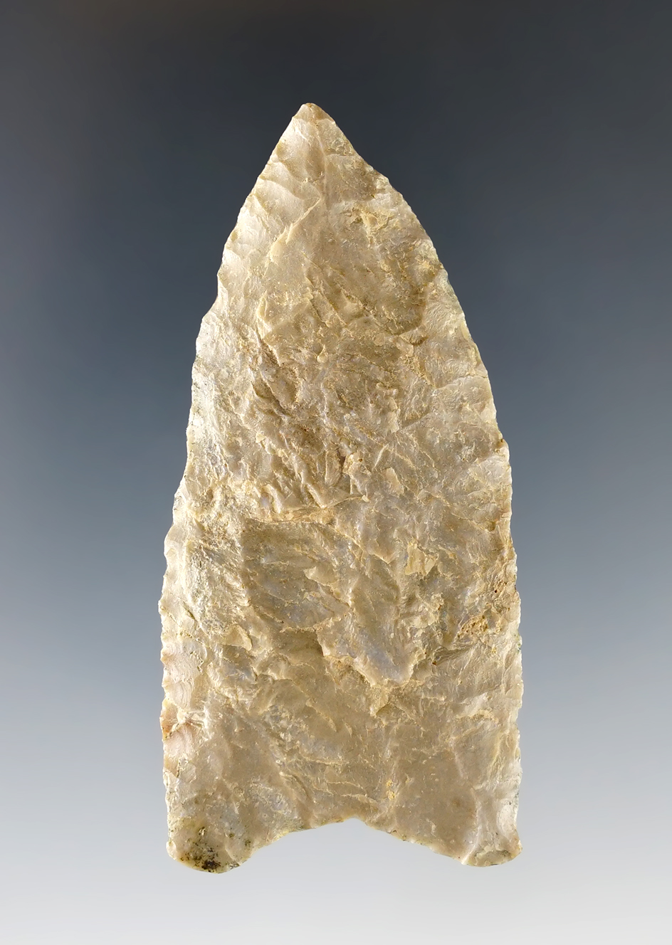 Thin and well made 3 1/16" Paleo Quad found in Marshall Co., Kentucky. Bennett COA.