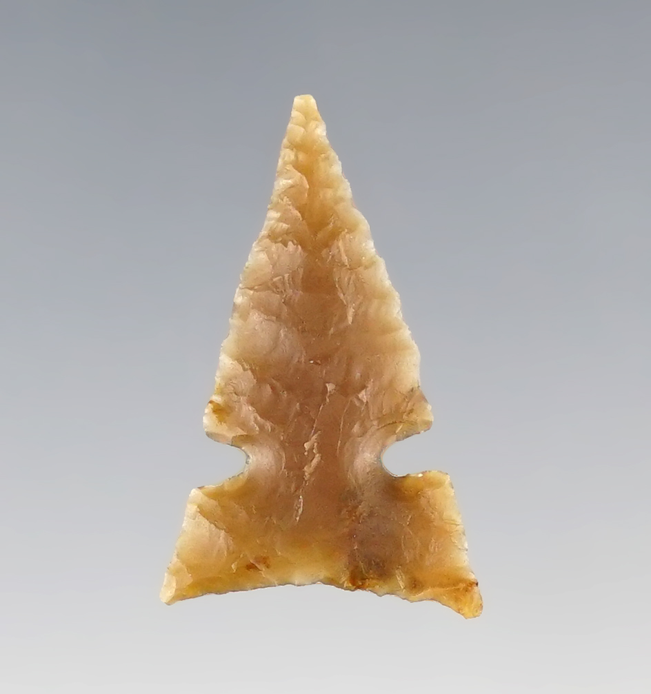 15/16" beautifully flaked Cut Bank Jaw-notched that is thin with excellent style found in Colorado.