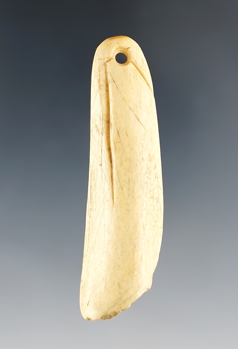 2 1/2" rare drilled Bone Pendant - engraving found at the Big Eddy Site, St. Francis Co., Arkansas.