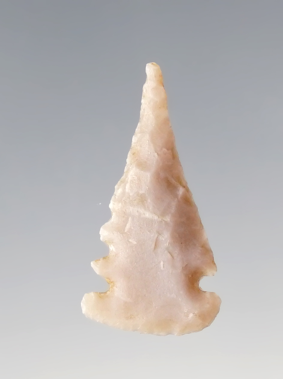 1" Sidenotch Arrowhead with multiple notches on one side found in the Four Corners area.
