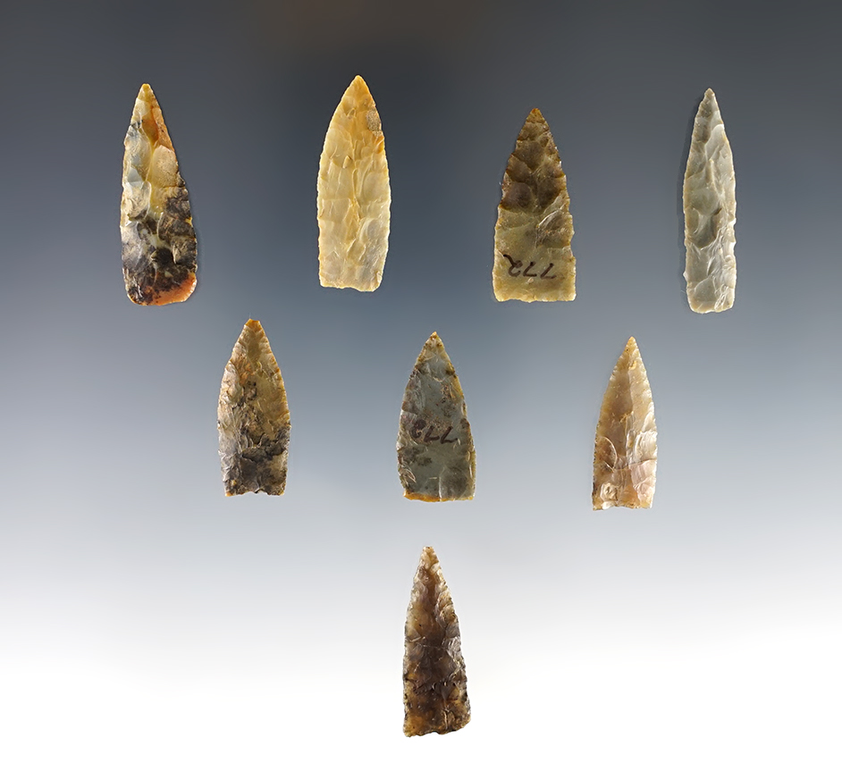 Set of 8 Guntersville Points found in the Kentucky/Tennessee area. Ex. Dan Stroud collection. 