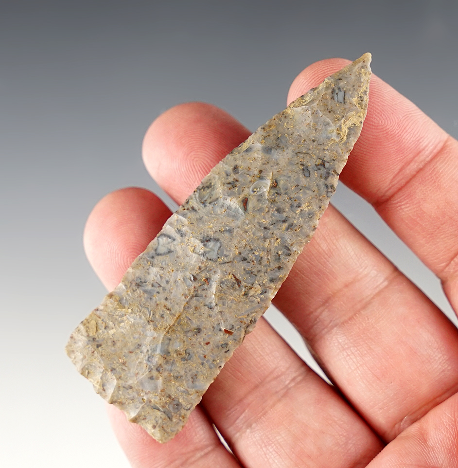 3 1/16" Copena found in Tennessee. Made from nicely colored speckled Chert.