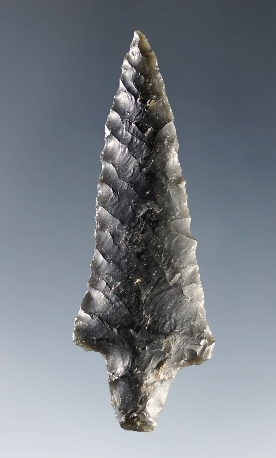 2 1/8" Obsidian Rabbit Island that is nicely flaked, found in southern Oregon. Ex. C.L. Pugh.