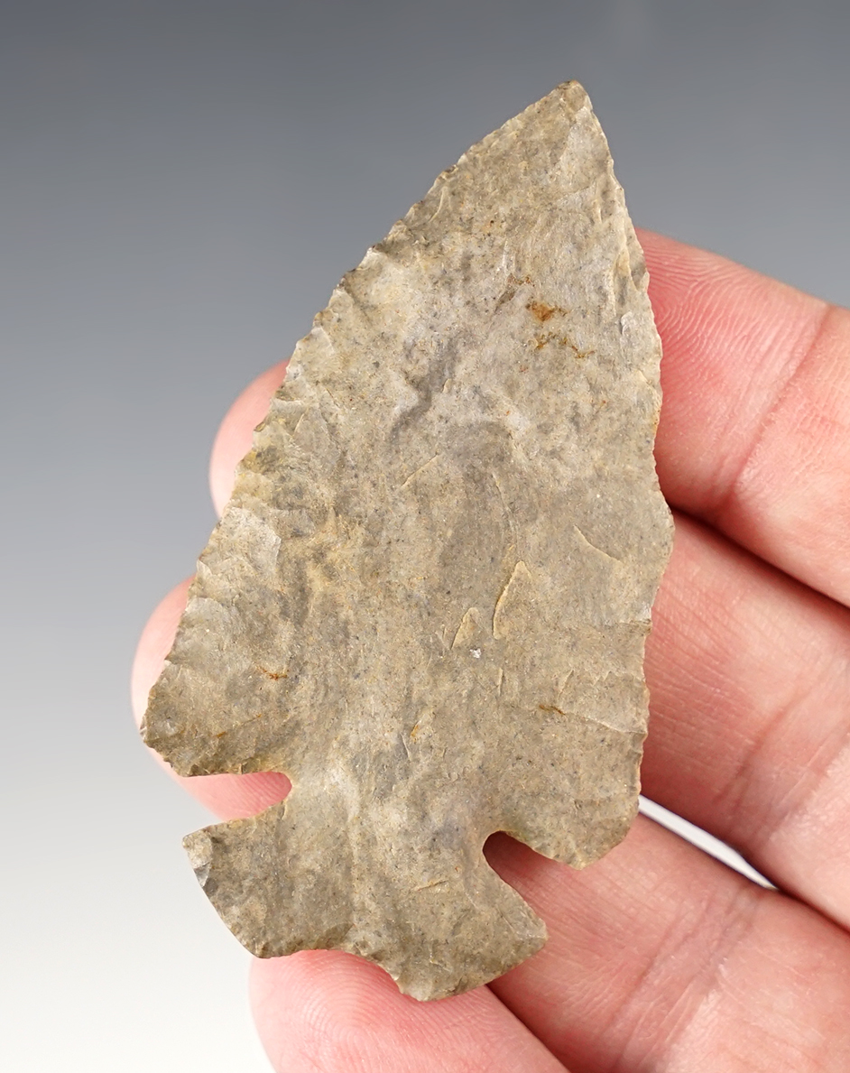 Classic style 2 5/8" Notched Base Dovetail that is well patinated. Henry Co., Tennessee. 