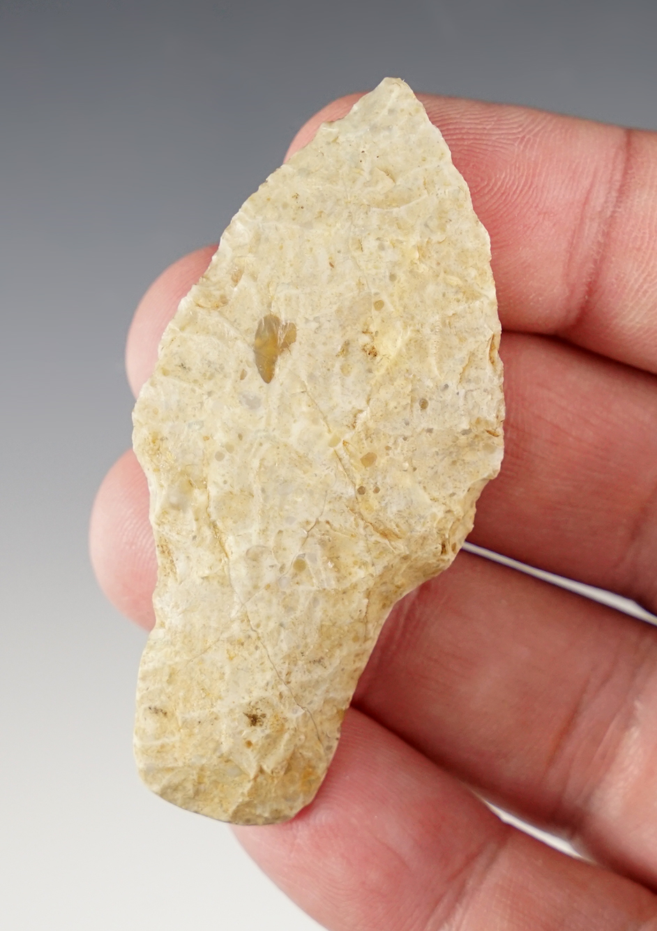 2 1/2" Paleo Silver Lake with a heavily ground stem found in Western Nevada. Nice desert polish.