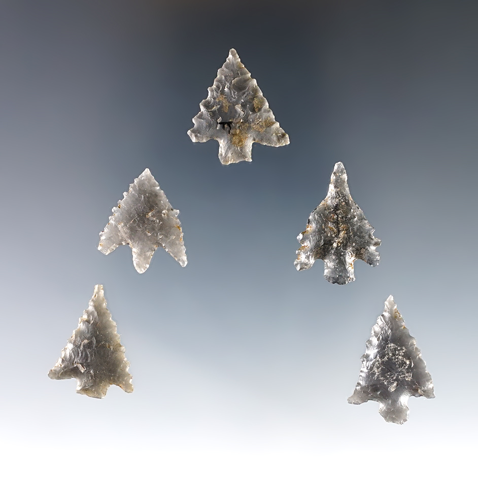 Set of five Obsidian Points including a couple very nice Gunthers recovered in northern California.