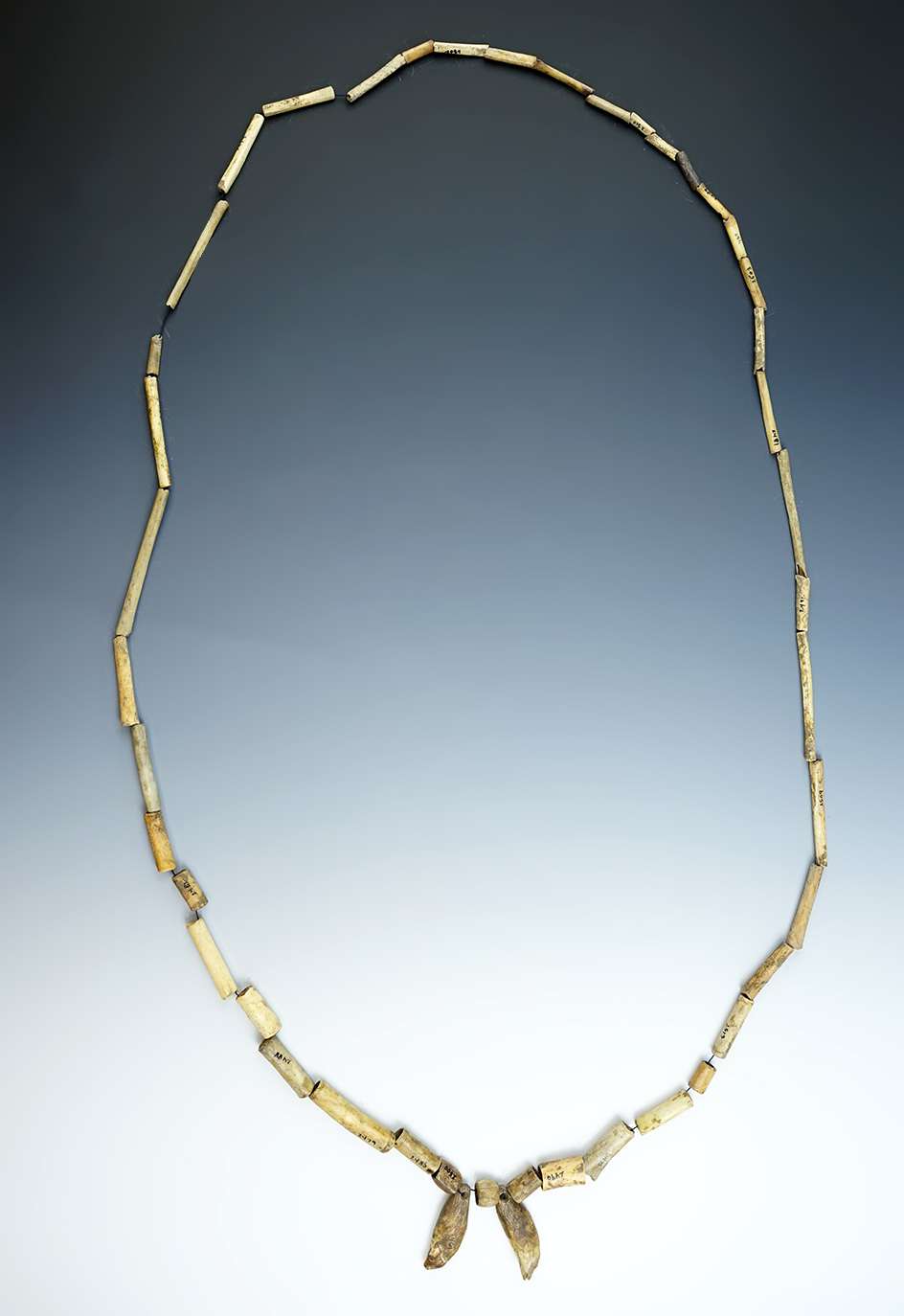 Large 60" Strand Necklace made from bone tube and barrel beads, Kentucky.
