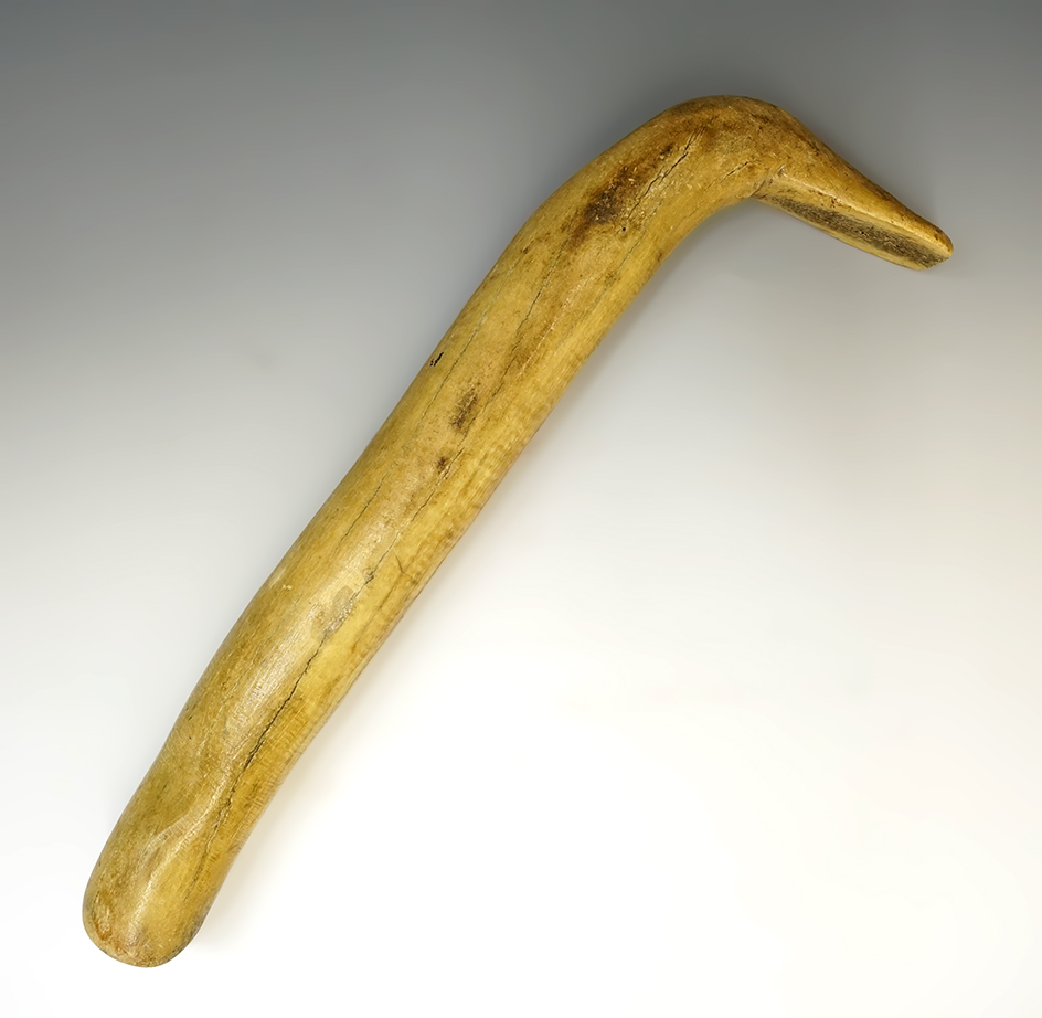 Nicely made 13" Plains Elk Horn Hide Scraper from the 1900's, Dakotas.