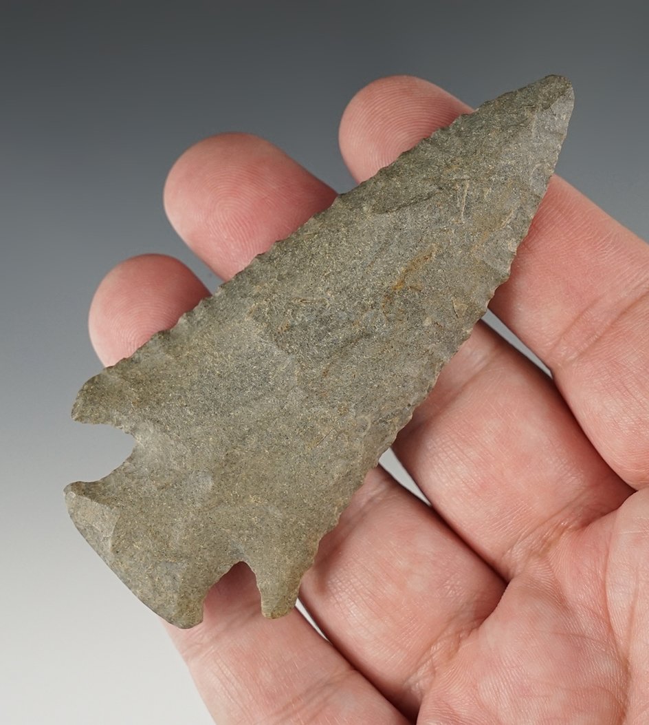 3 1/2" Barbed Hardin found in Arkansas.