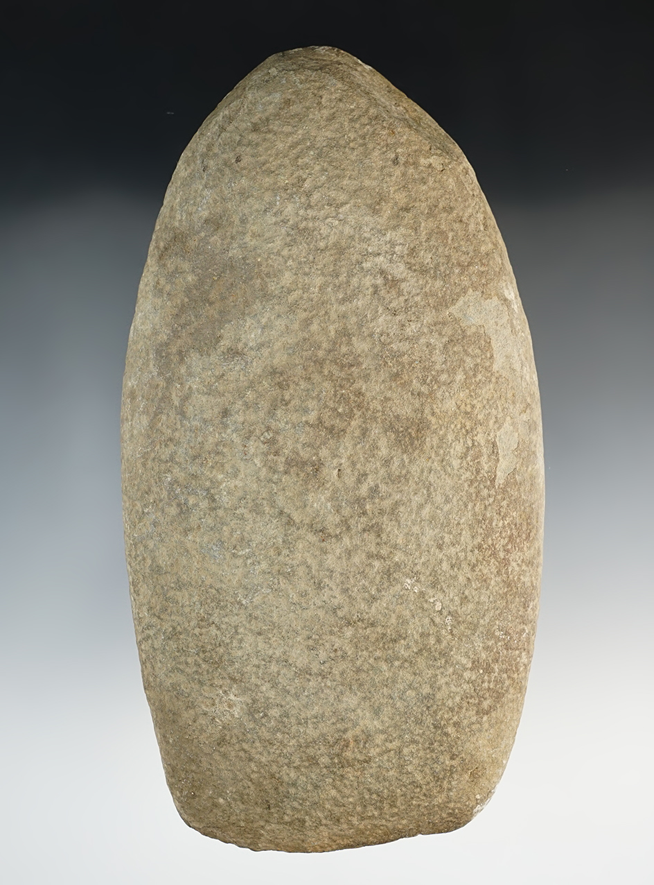 8 1/8" well used Hardstone Celt found in Maryland.