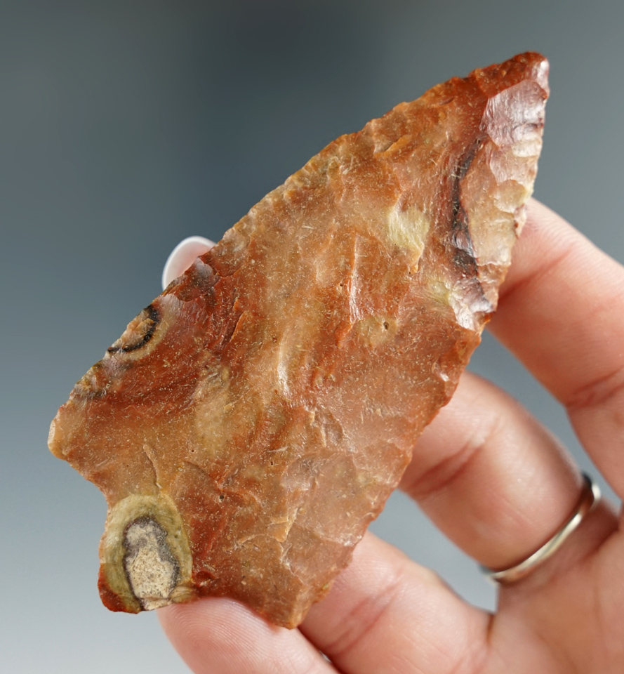 3 7/16" Hillsborough made from beautiful material found in Florida. Bennett COA.