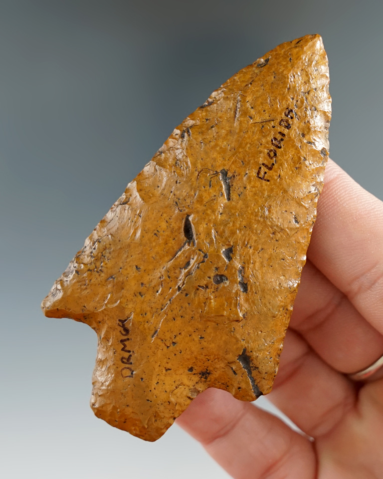 3 1/4" beautifully styled Newnan point found in Florida with a high-gloss river polished patina.