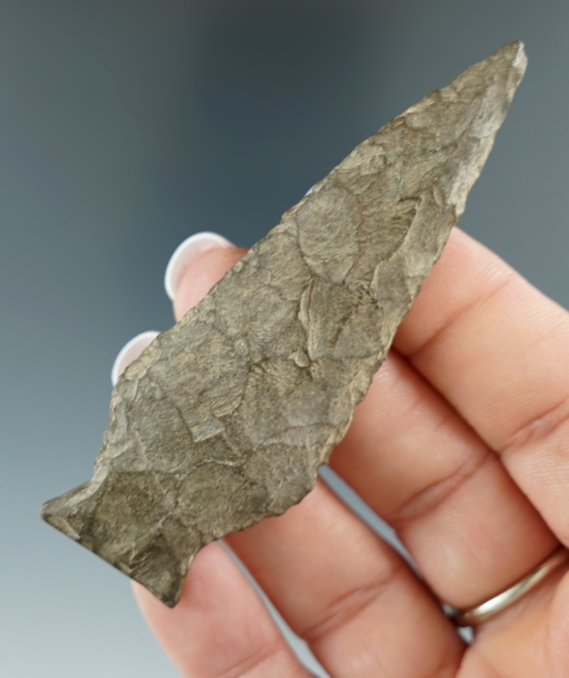 Excellent flaking and style on this 3 3/16" Orient  Fishtail f found in Eastern New York.