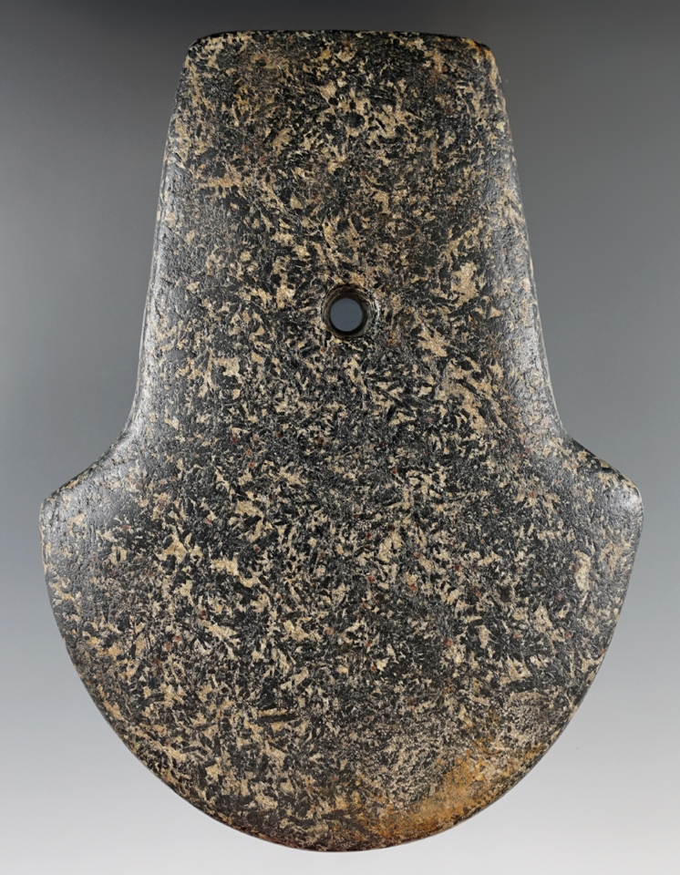 Sale highlight! Rare style 5 3/4 by 4 1/4" Spatulate  found in Obion  Co., Tennessee. 3 COA's.