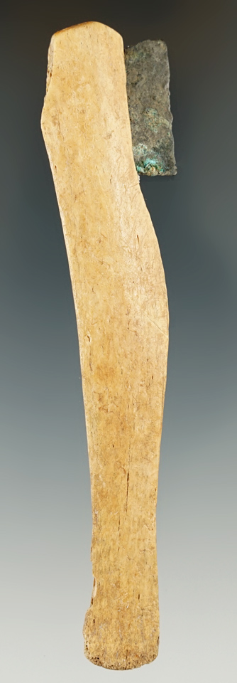 4 3/4" copper Blade inserted into a deer rib bone handle collected in South Dakota.