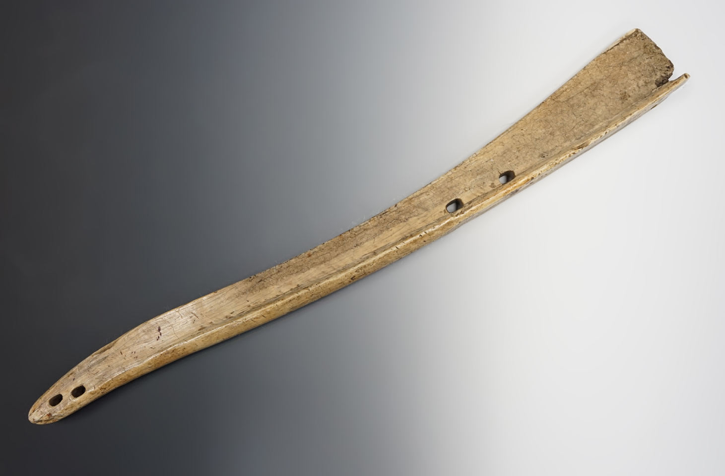 24 1/4" sled runner fashioned from a section of Walrus tusk, Alaska circa A.D. 1750-1850  COA.