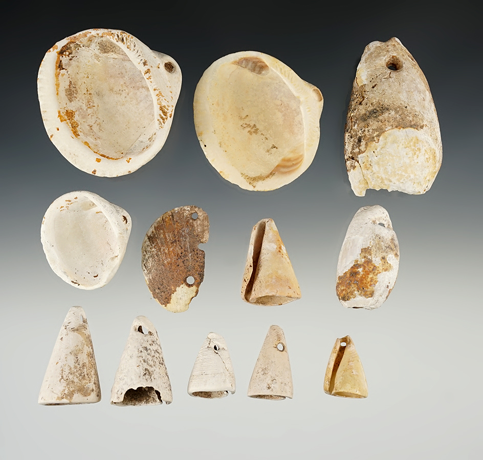 Group of 12 assorted Shell Beads and Ornaments found in New Mexico. Largest is 2 1/4".