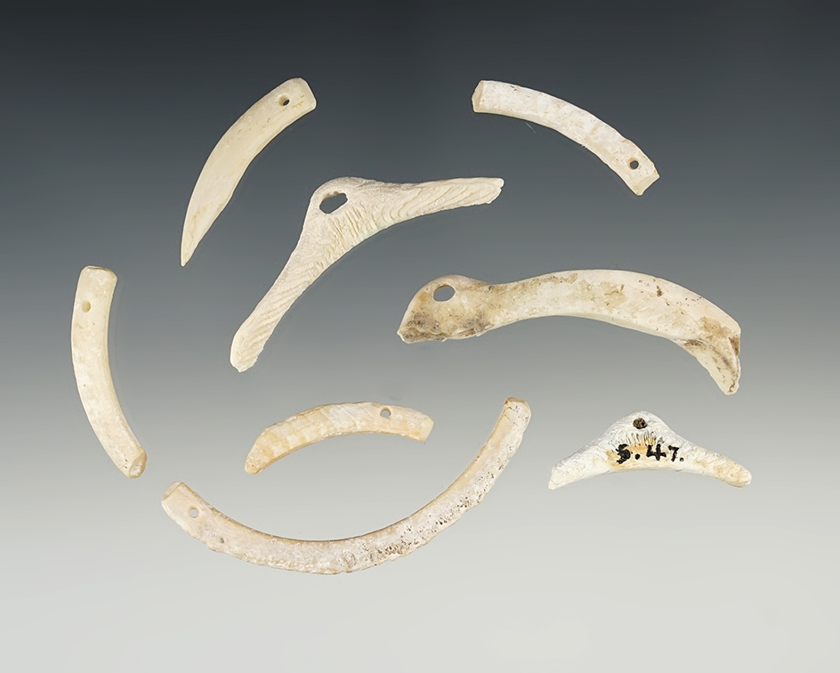 Set of 8 Drilled Shell Ornaments found in New Mexico. Largest is 2 5/16".