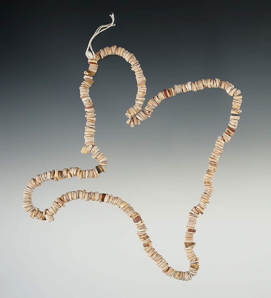 16" Stand of Drilled Shell Beads found in New Mexico.