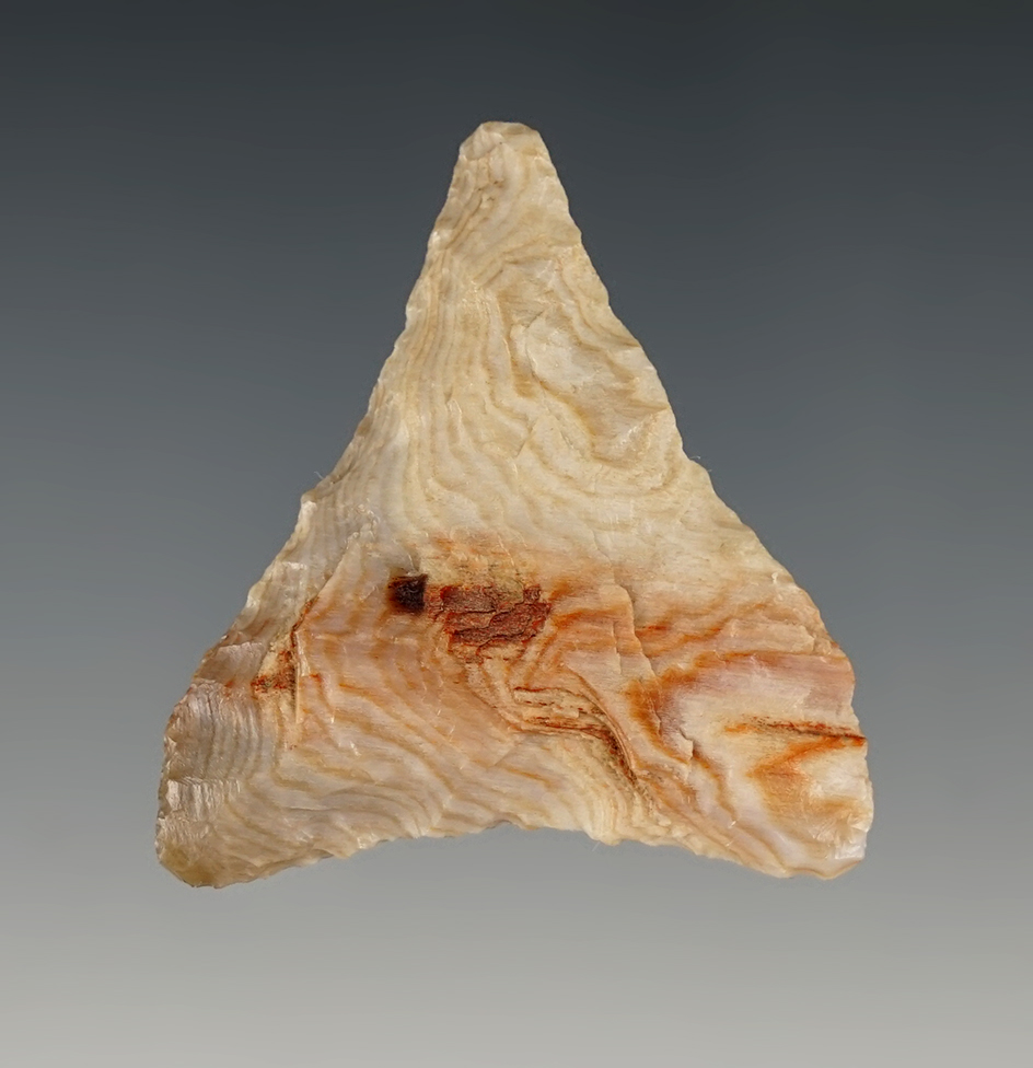 Colorful 1 7/8" Mule Ear Knife found in Klickitat Co., Washington.