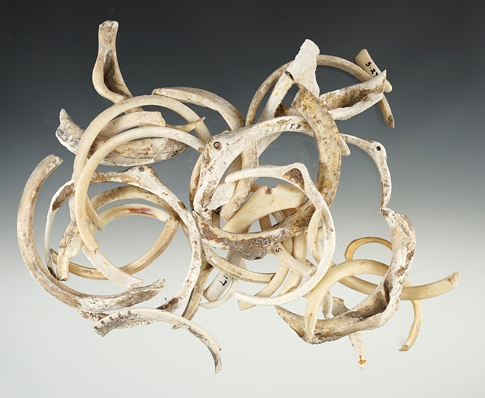 33 sections of damaged Shell Ornaments found in New Mexico. Nice for display.