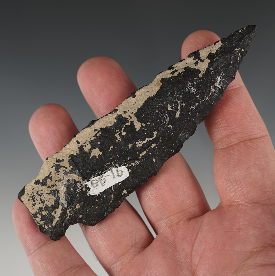 4 7/16" large Cold Springs found in Southwestern Idaho. Well patinated.