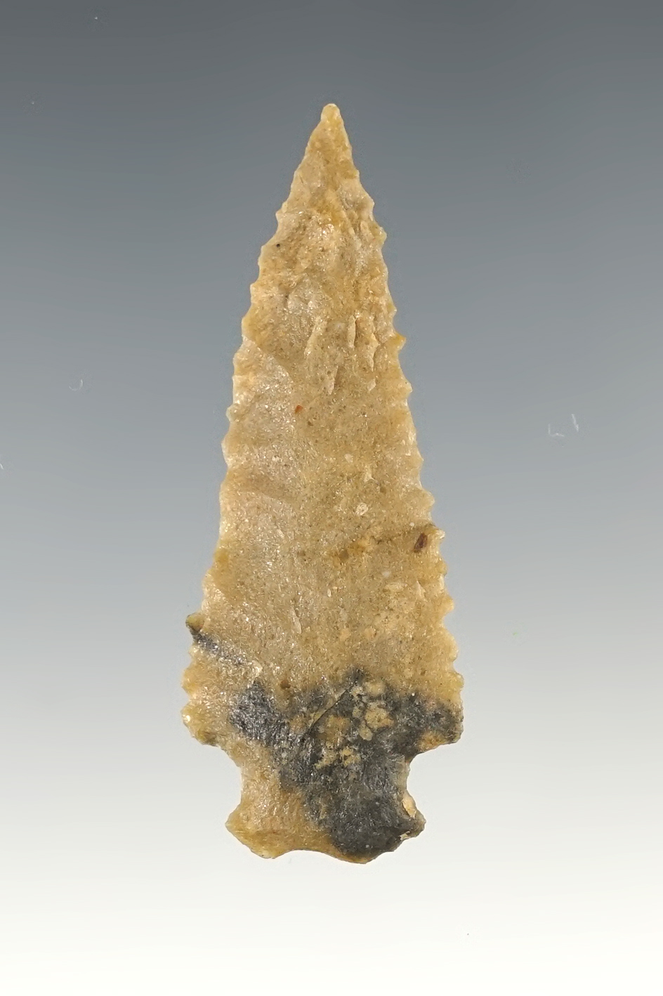 2 1/8" Nicely serrated Dart Point found in New Mexico.