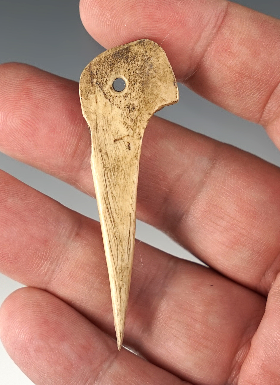 Finely made 2 3/8" Drilled Bone Awl found in Umatilla, Oregon.