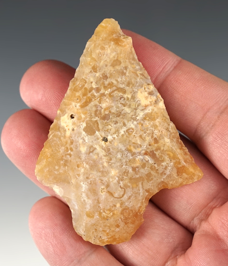 2 13/16" Beveled Elora made from translucent Coastal Plains Chert. Houston Co., Georgia.