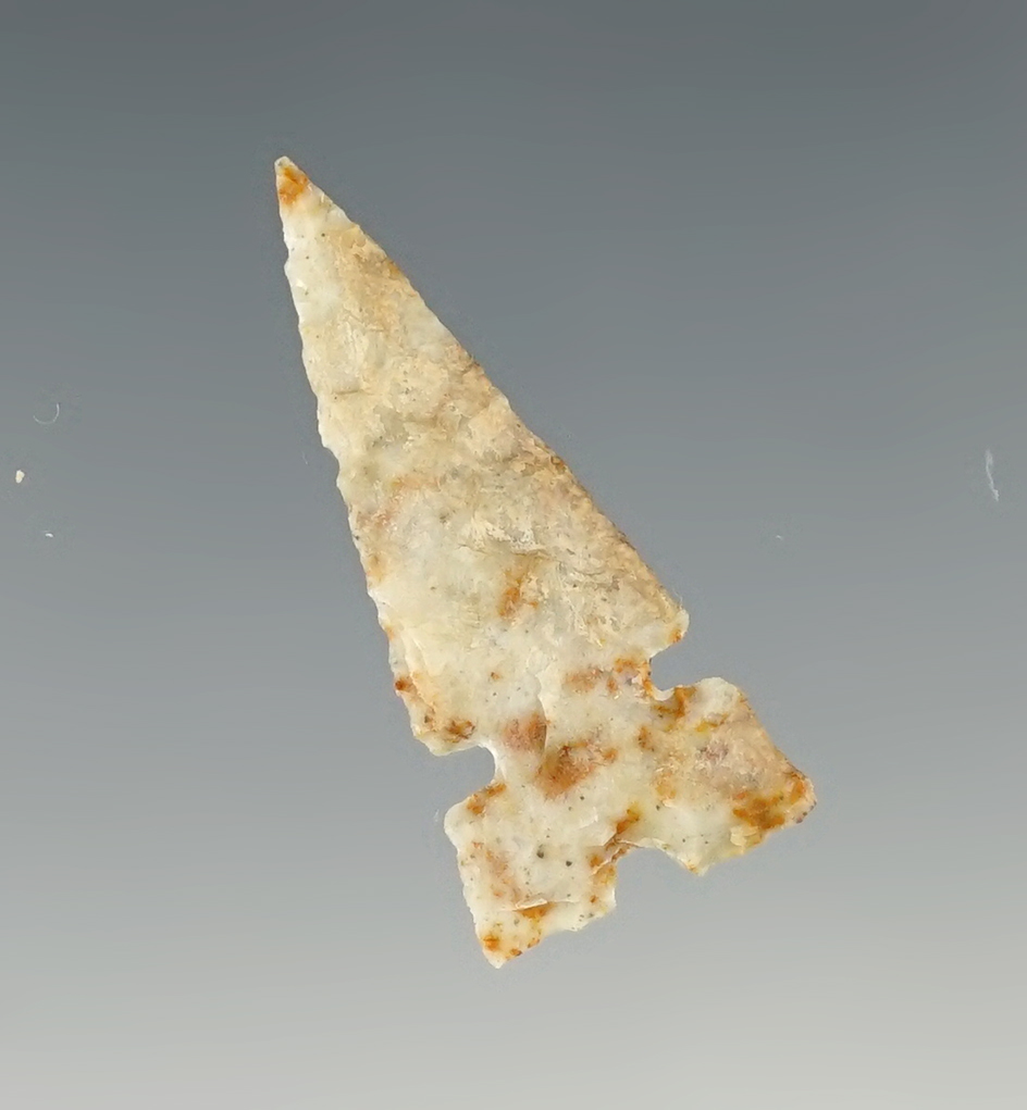 1 1/4" Well styled Side Notched Arrow Point found in New Mexico.