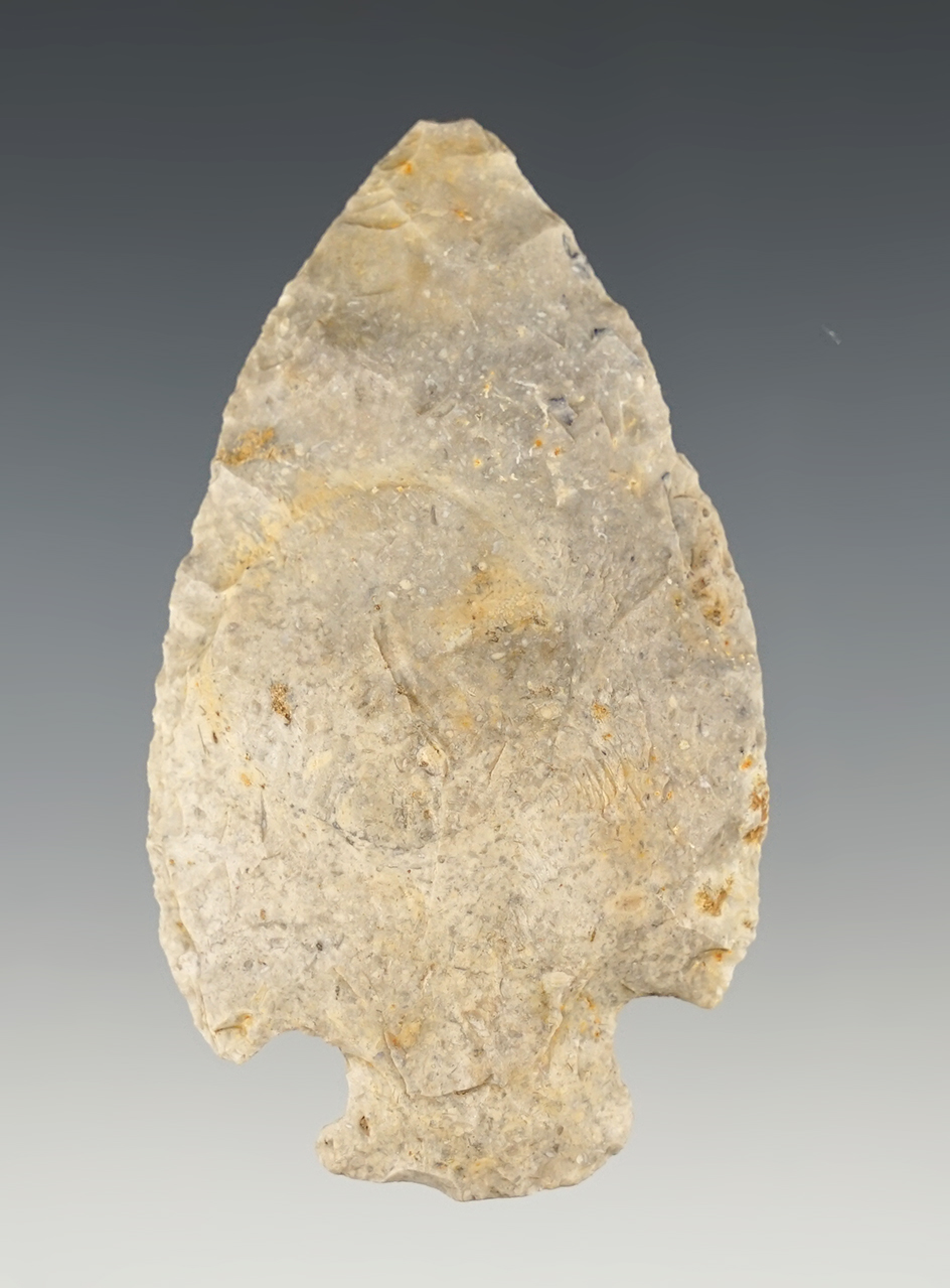 3" Ocala found in Florida made from Coastal Plains Chert.