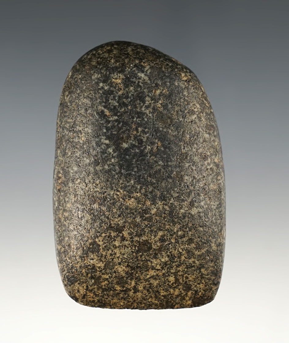 2 3/4" Woodland Celt found in Central Kentucky. Ex. Zach Smoot. Bennett COA.