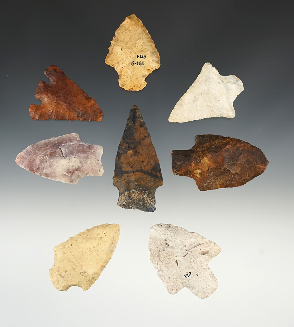 Set of 8 Coastal Plains Chert points found in Florida. The largest is 2 5/16".