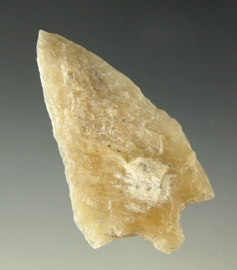 2 1/2" Hillsborough point made from semi translucent coral found in Florida.