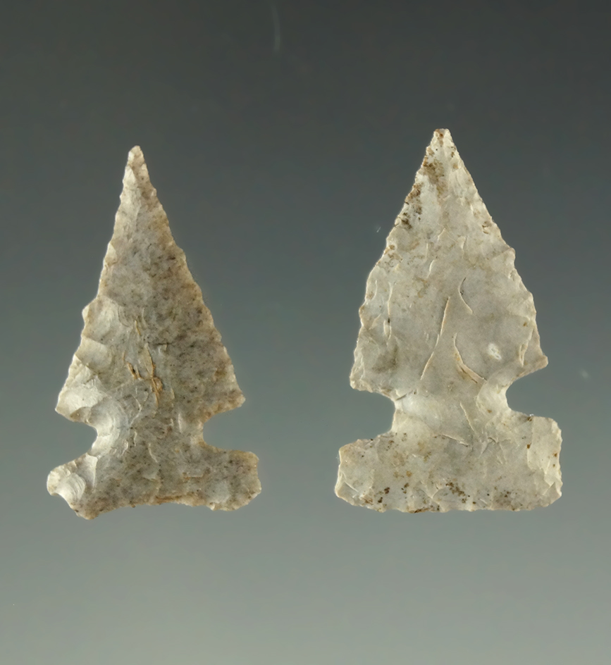 Ex. Museum! Pair of Reed sidenotch points found in Oklahoma, largest is 7/8".